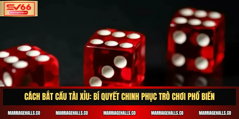 Cách bắt cầu tài xỉu