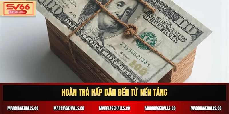 Hoàn trả hấp dẫn đến từ nền tảng