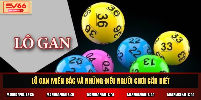 Lô gan miền Bắc