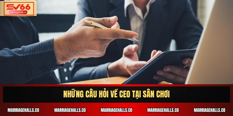 Những câu hỏi về CEO tại sân chơi