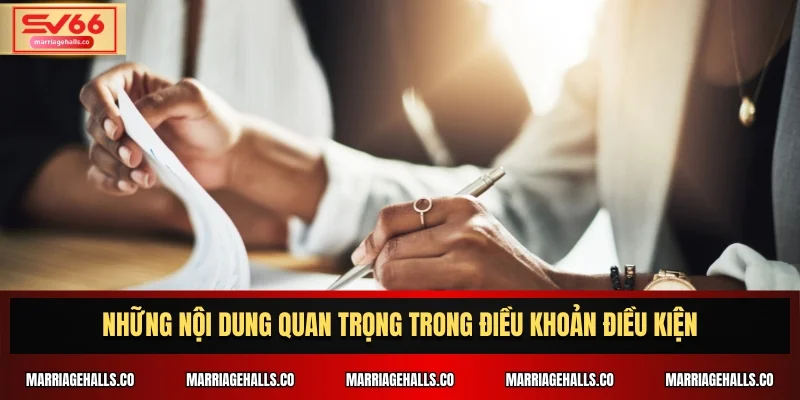 Những nội dung quan trọng trong điều khoản điều kiện
