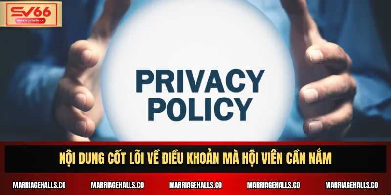 Nội dung cốt lõi về điều khoản mà hội viên cần nắm