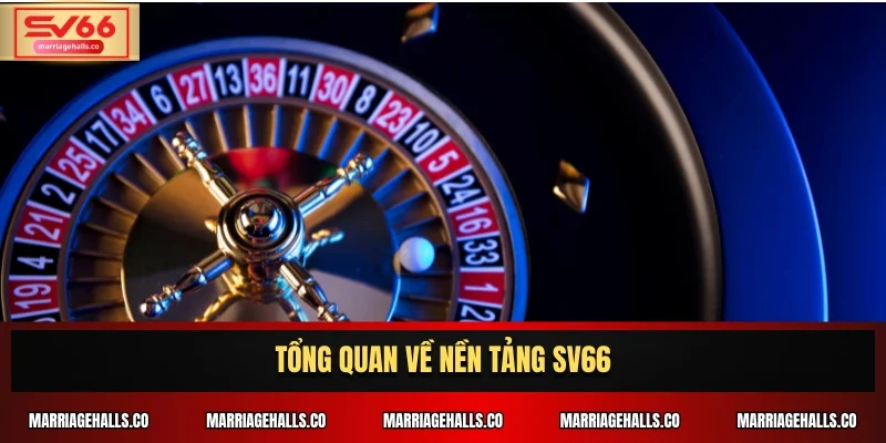 Tổng quan về nền tảng SV66